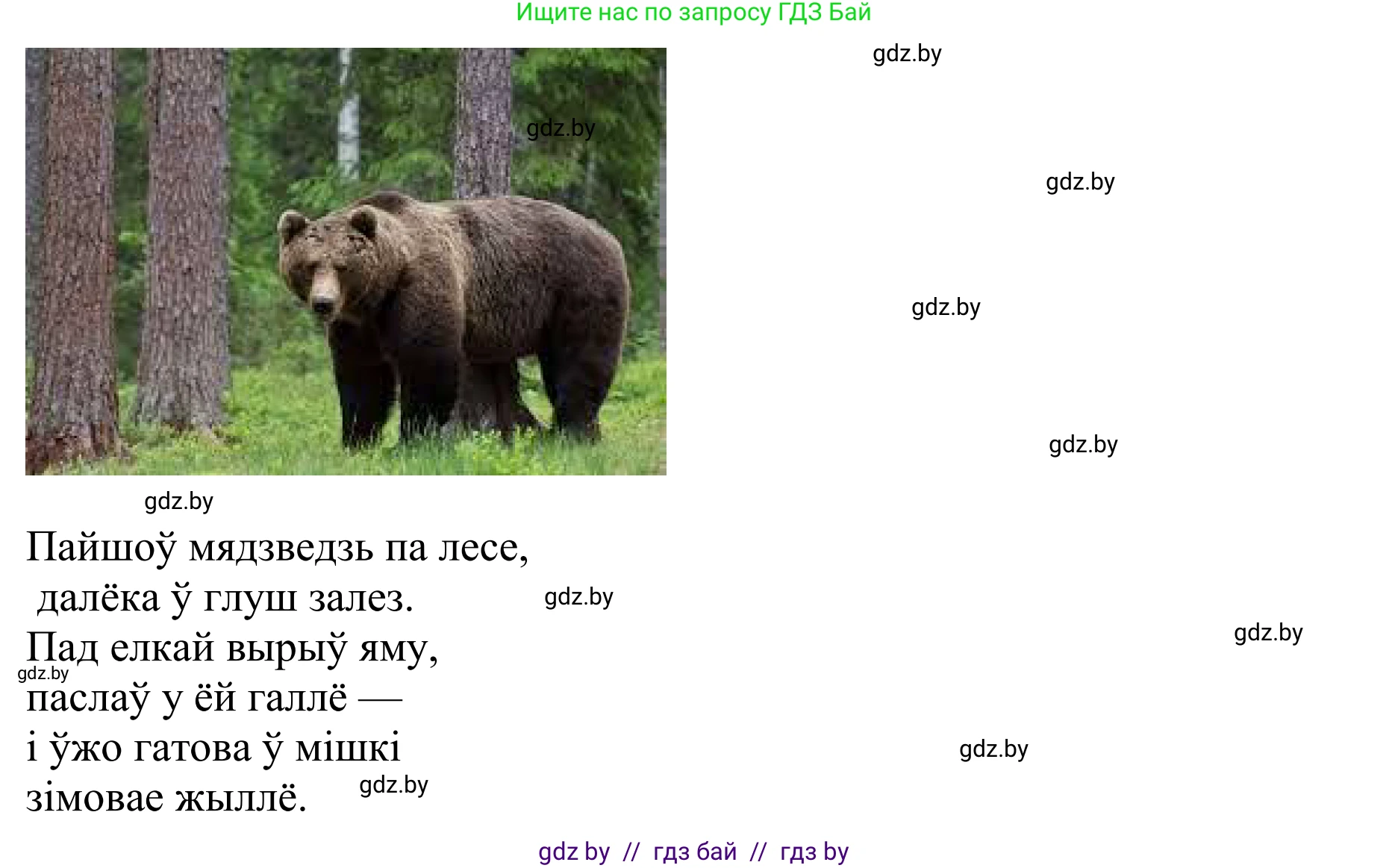 Літаратурнае чытанне, 2 класс Учебник, авторы: Антонава Надзея Уладзіславаўна, Буторына Ірына Аляксандраўна, Галяш Галіна Аксеньеўна, издательство Нацыянальны інстытут адукацыі, Минск, 2021, жёлтого цвета, Часть 1, страница 81, Решение (продолжение 4)