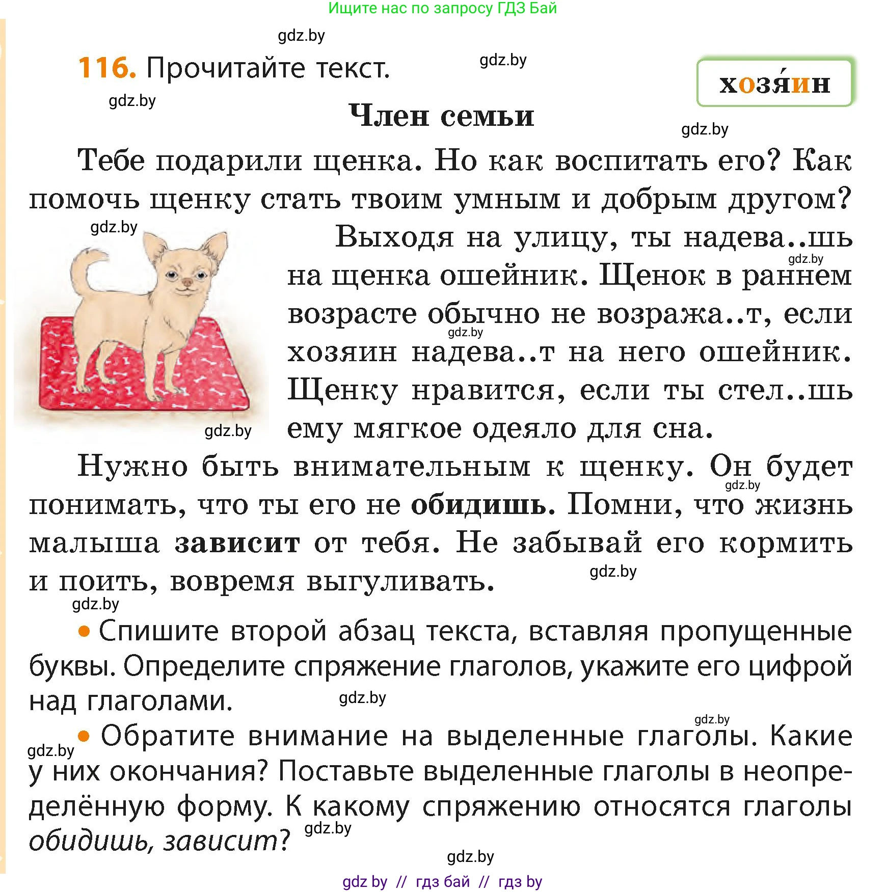Русский язык, 4 класс Учебник, авторы: Антипова Маргарита Борисовна, Верниковская Алла Викторовна, Грабчикова Елена Самарьевна, издательство Академия образования, Минск, 2024, оранжевого цвета, Часть 2, страница 72, номер 116, Условие